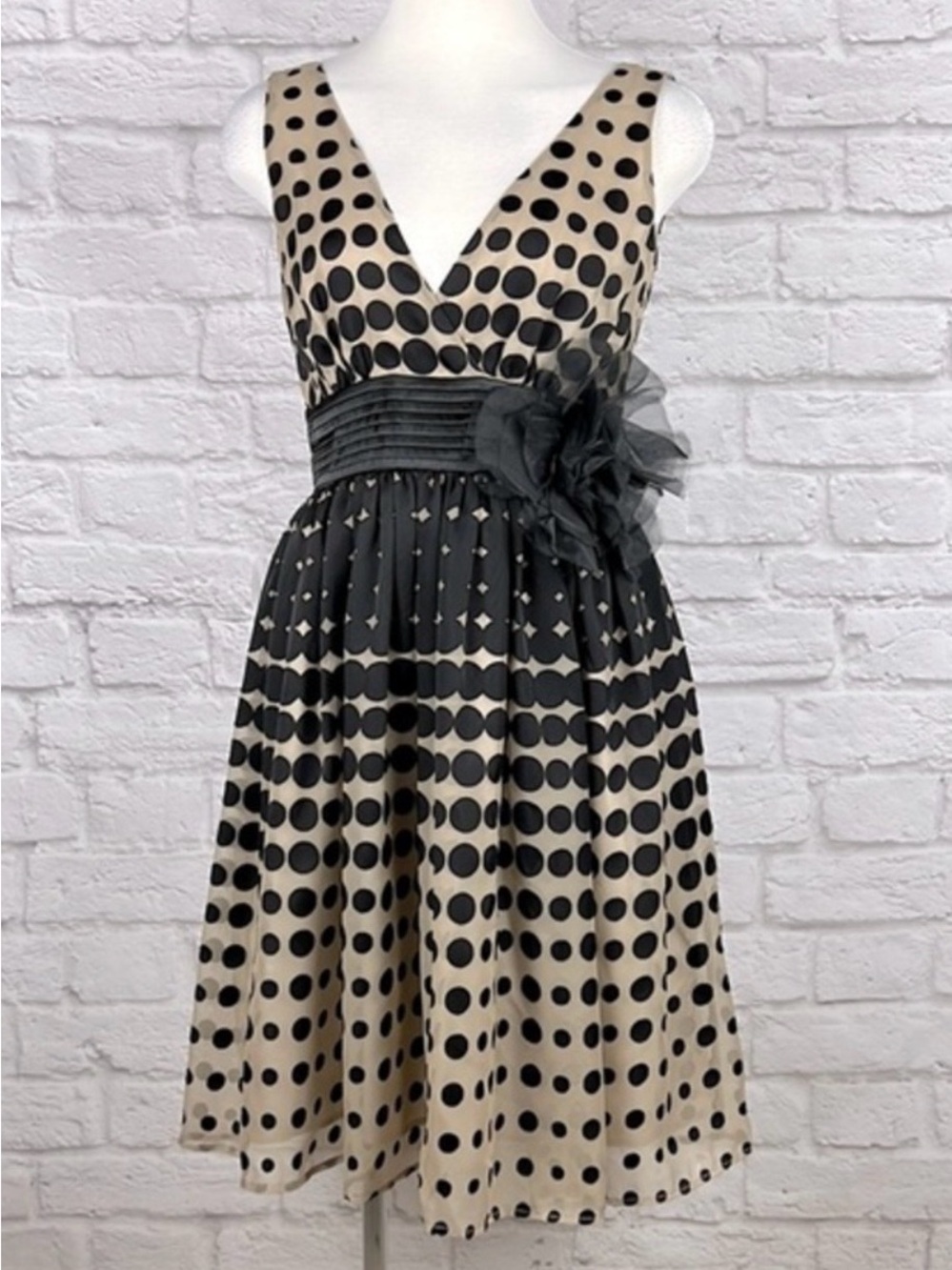 Anthropologie Burlapp Polka Dot Dress NWT – Size 4